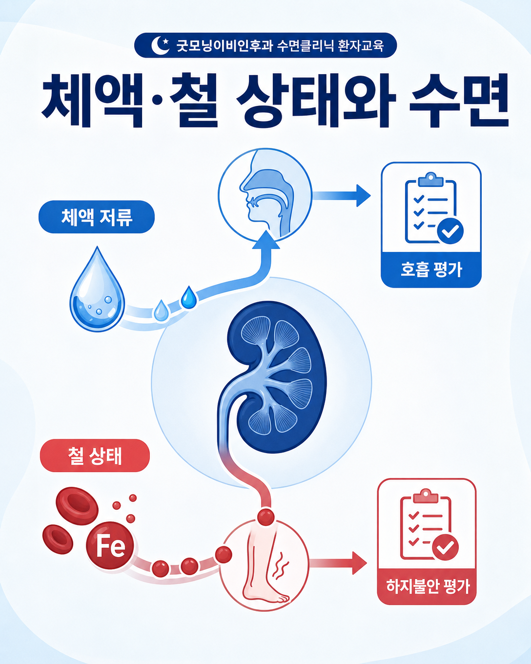 체액 상태는 수면 중 호흡과 철 상태는 하지불안 증상과 연결해 평가하는 도식