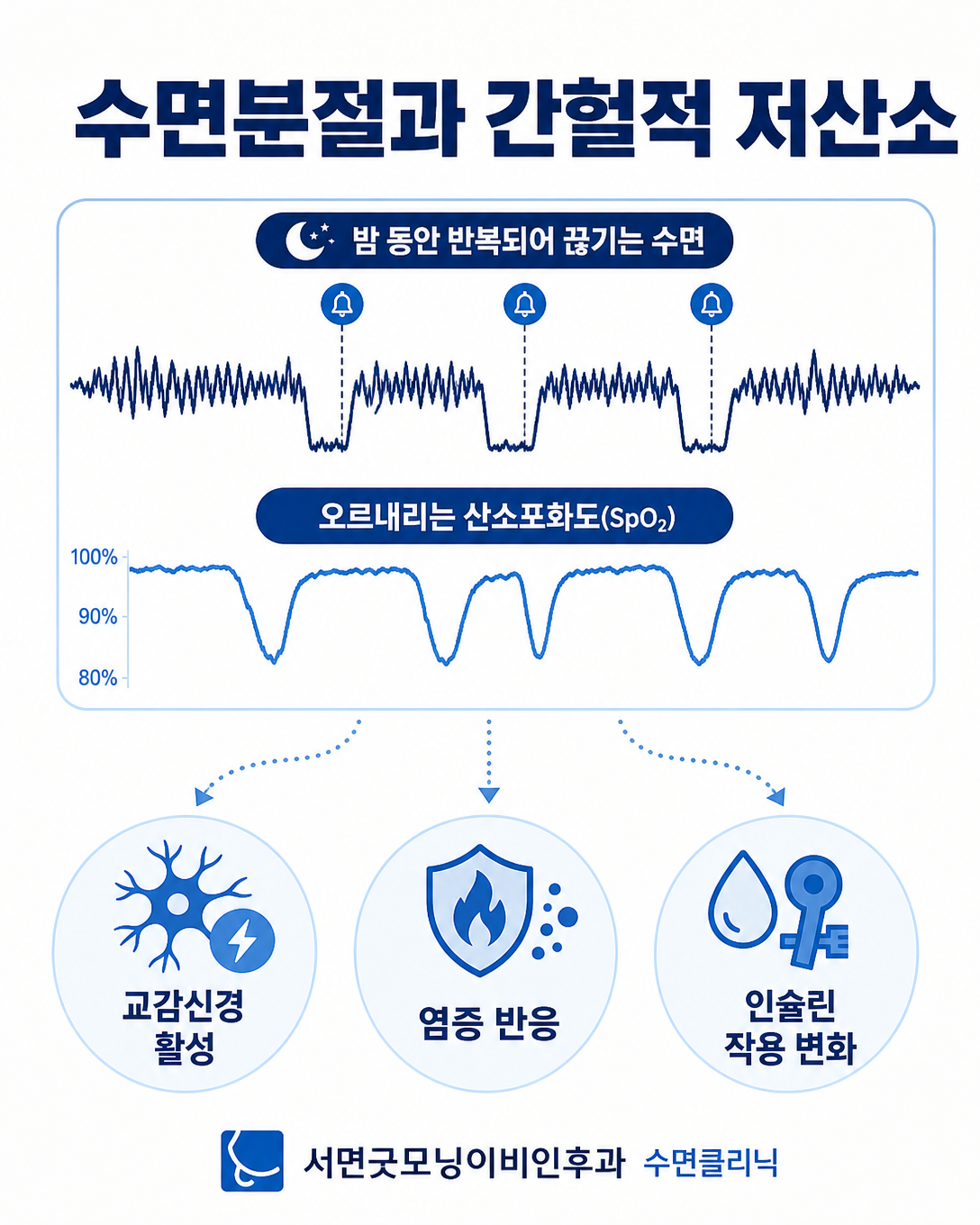 수면분절과 간헐적 저산소가 대사건강에 영향을 줄 수 있는 경로를 나타낸 인포그래픽