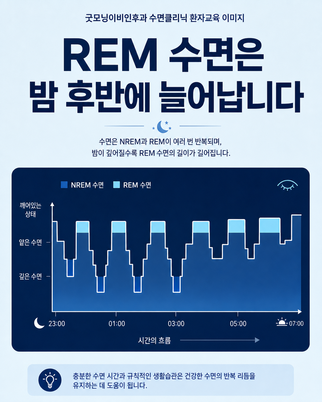 밤 후반으로 갈수록 REM 수면 구간이 길어지는 수면 구조 도표