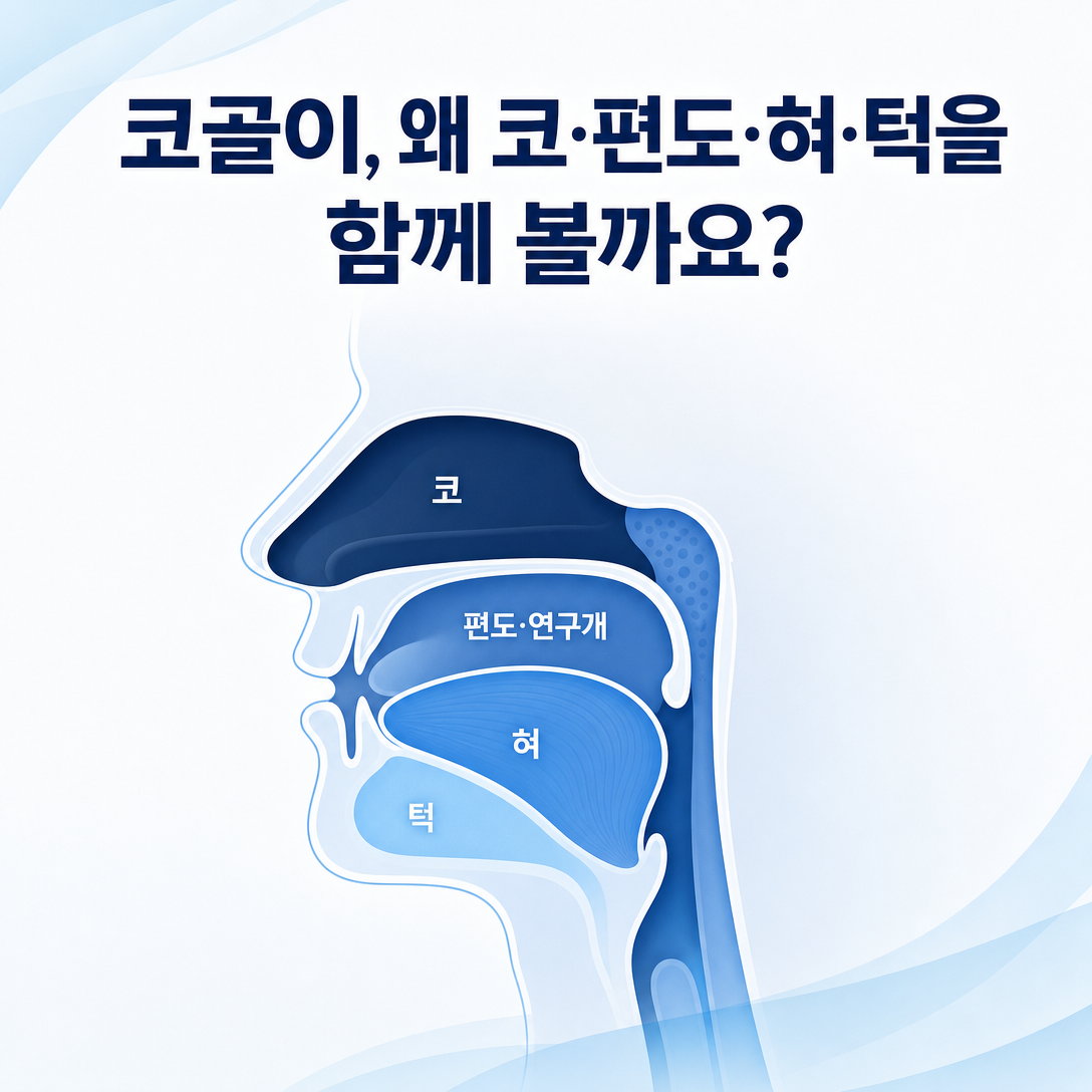 코골이 진료에서 코, 편도, 혀, 턱 구조를 함께 평가하는 이유를 보여주는 상기도 도식