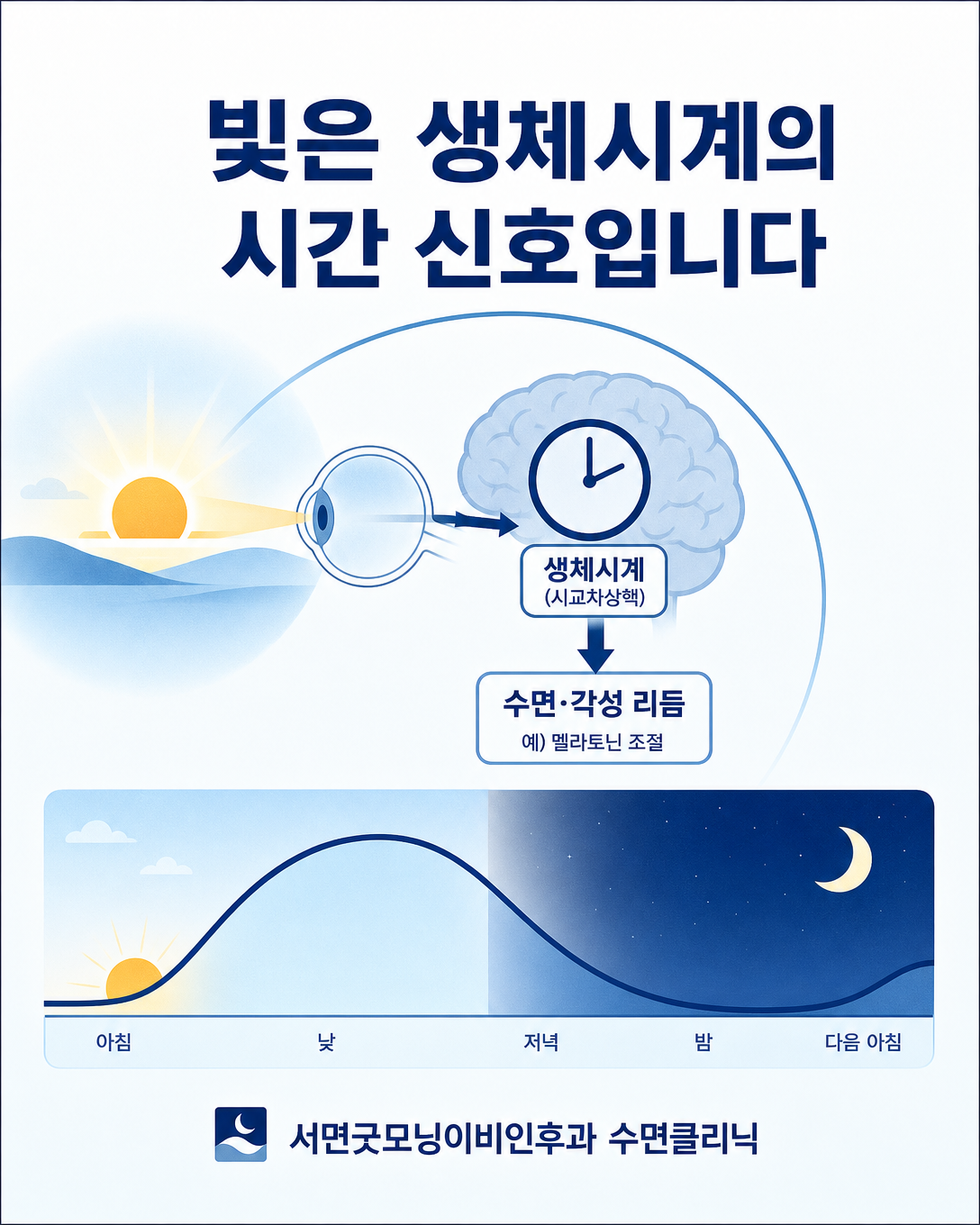 아침 빛이 생체시계에 시간 신호를 전달하는 과정을 설명한 도식
