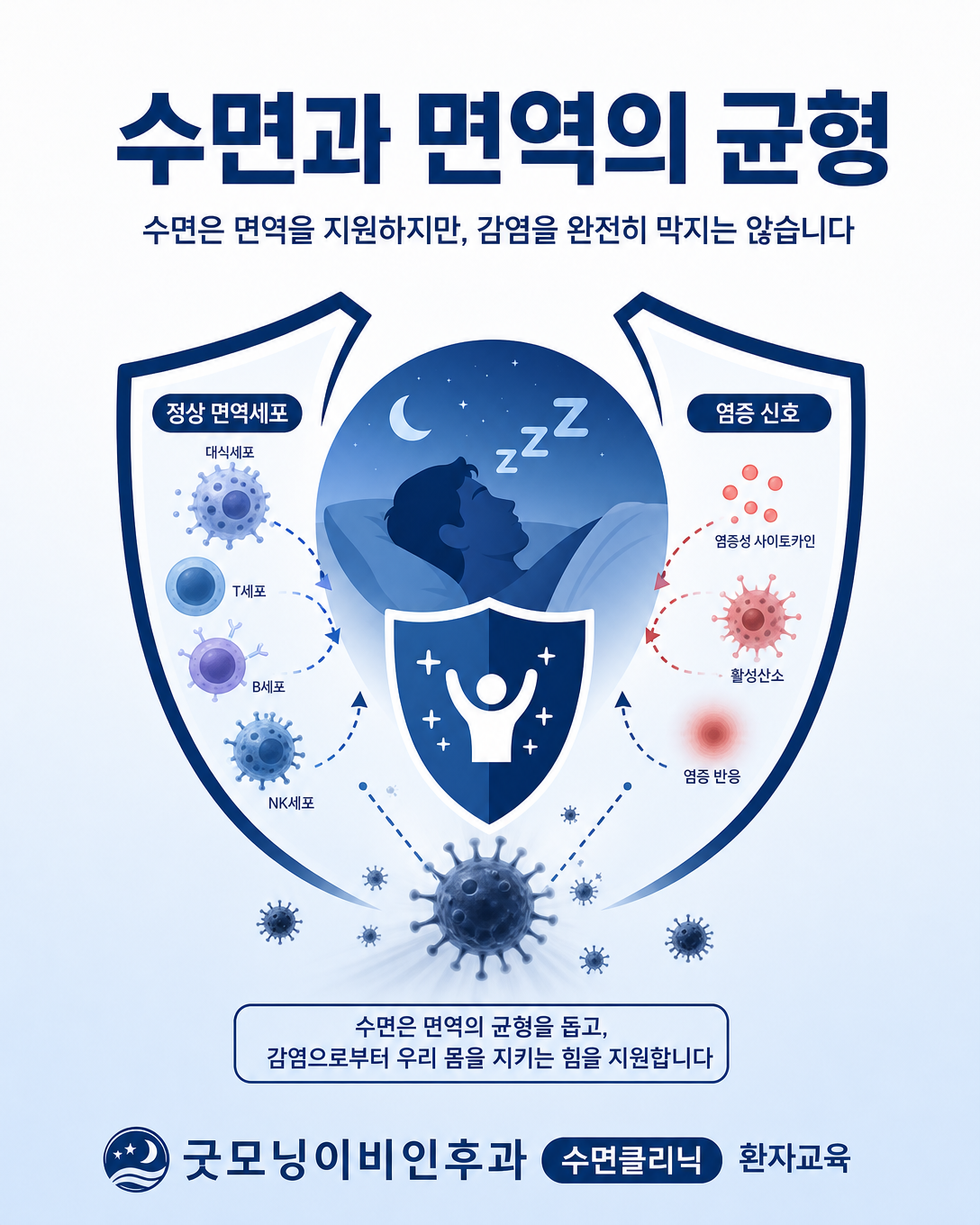수면이 면역세포와 염증 반응의 균형을 지원하는 과정을 설명한 그림