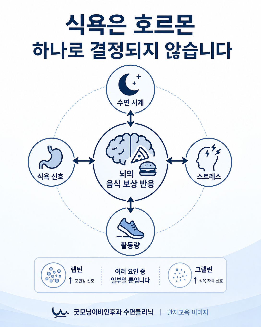 수면, 음식 보상 반응, 식욕 신호와 생활요인이 함께 작용하는 기전 도식