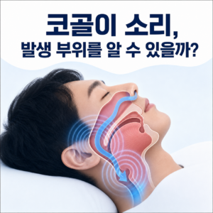 코골이 소리만으로 코와 입·목의 발생 부위를 구분하기 어렵다는 상기도 도식